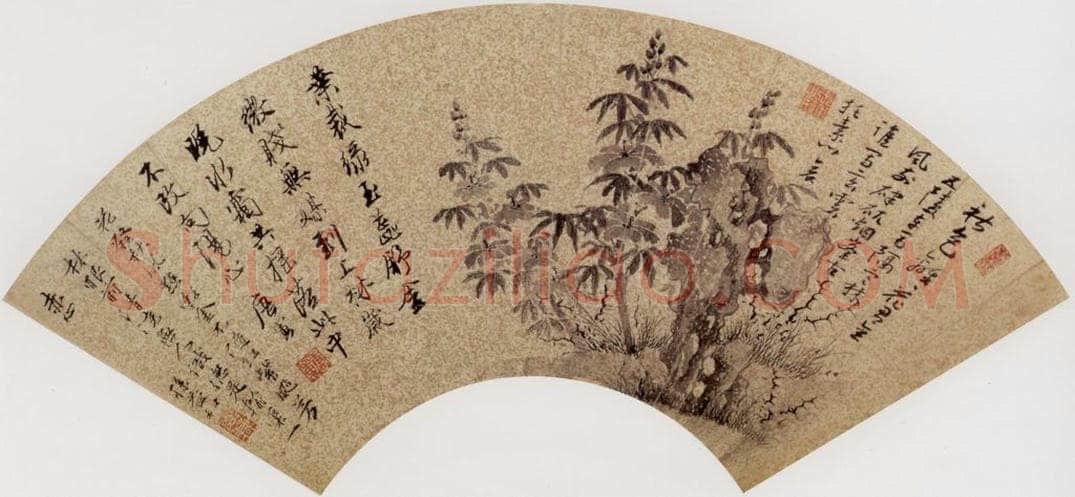 明 唐寅 《葵石图》 书画作品