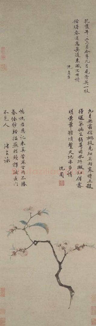 明 沈周 《九月桃花图轴》 书画作品