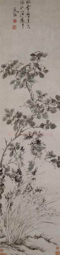 明 陈淳 《山茶水仙图轴》 书画作品