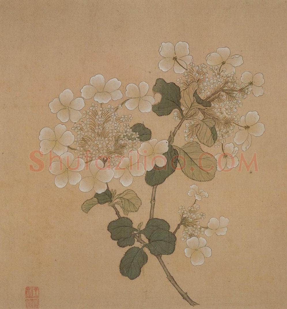 明 王维烈 《花卉册》 书画作品