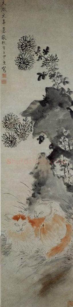 明 王中立 《双猫菊石图轴》 书画作品