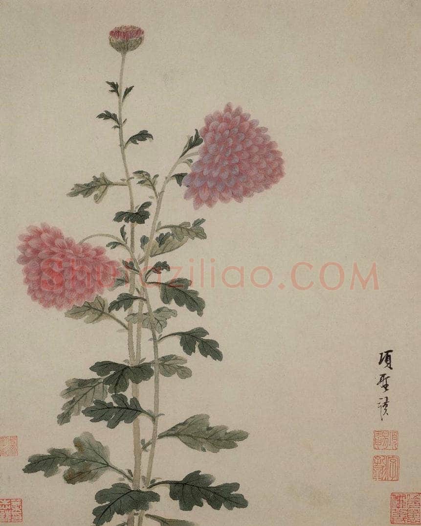 明 项圣谟 《花卉册》 书画作品