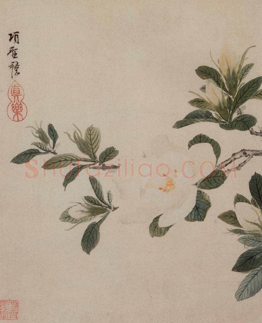 明 项圣谟 《花卉册》 书画作品