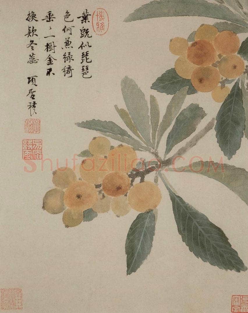 明 项圣谟 《花卉册》 书画作品