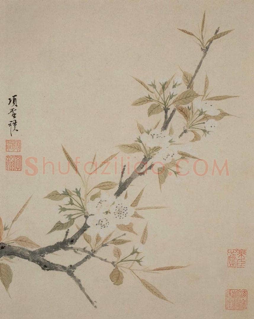 明 项圣谟 《花卉册》 书画作品