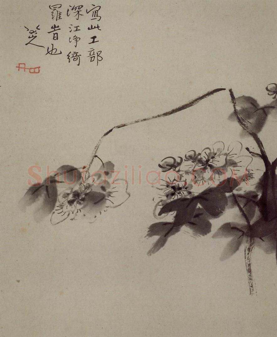 清 朱耷 《杂画册》 书画作品