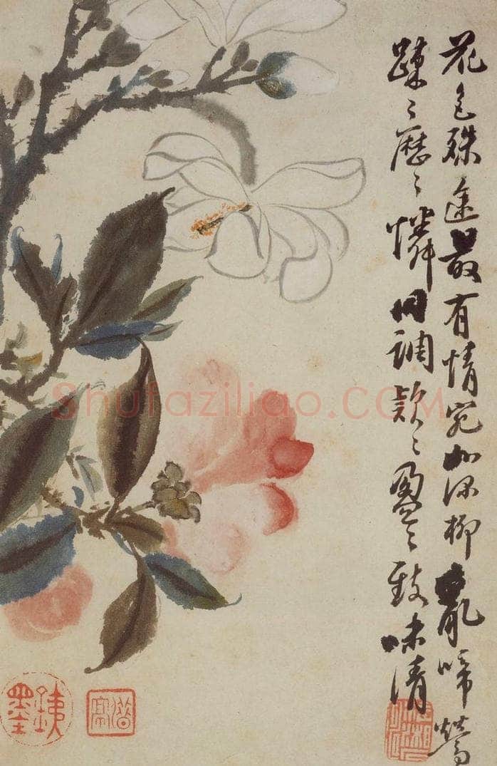 清 石涛 《花卉册》 书画作品