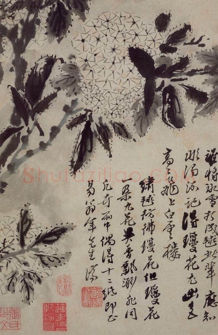 清 石涛 《花卉册》 书画作品