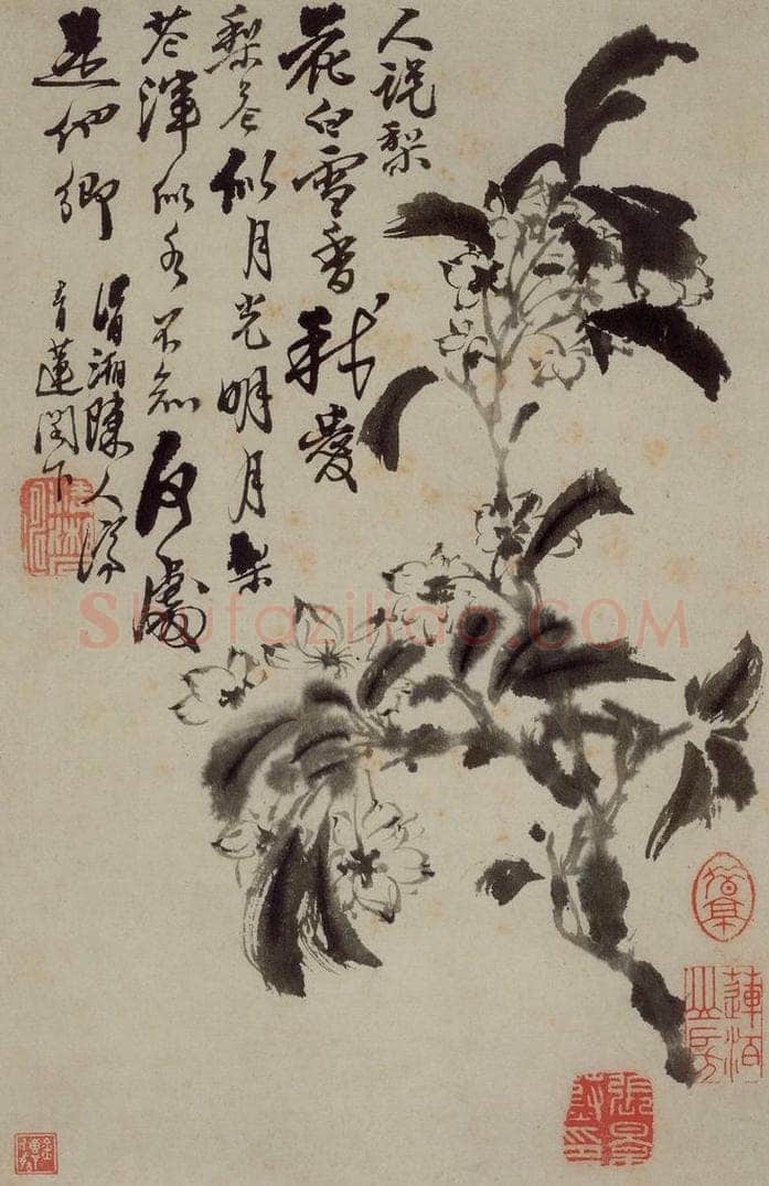 清 石涛 《花卉册》 书画作品