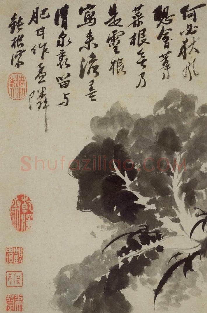 清 石涛 《花卉册》 书画作品