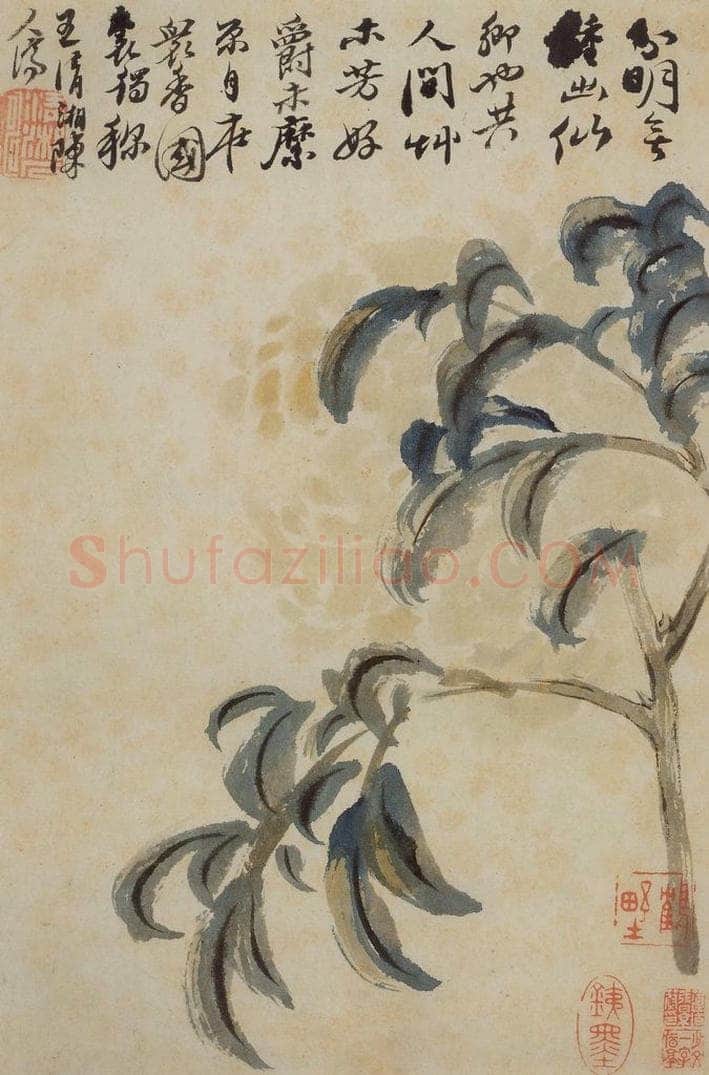 清 石涛 《花卉册》 书画作品