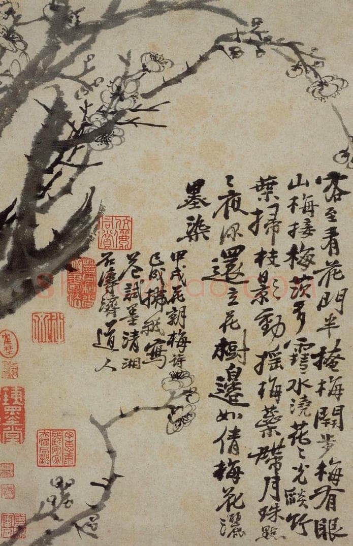 清 石涛 《花卉册》 书画作品