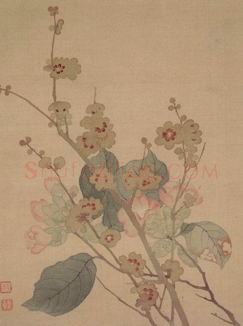 清 恽寿平 《花卉册》 书画作品