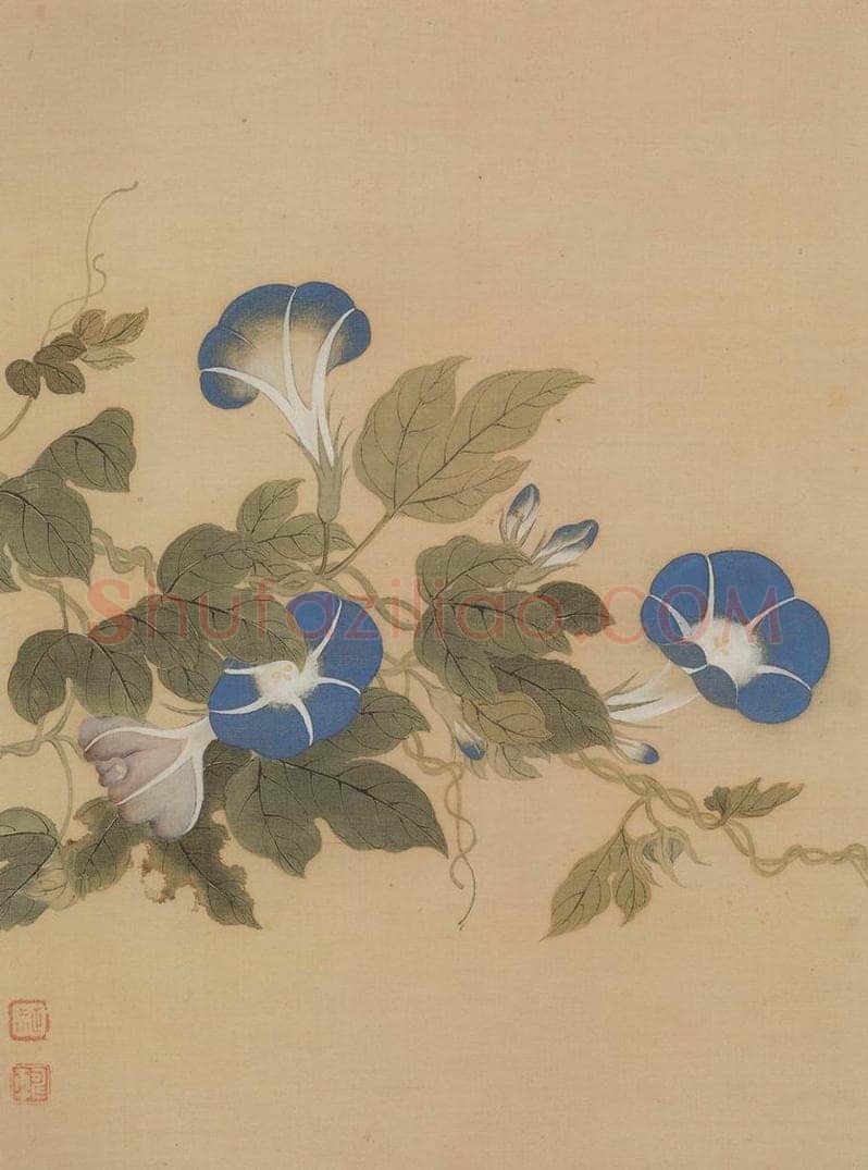 清 恽寿平 《花卉册》 书画作品