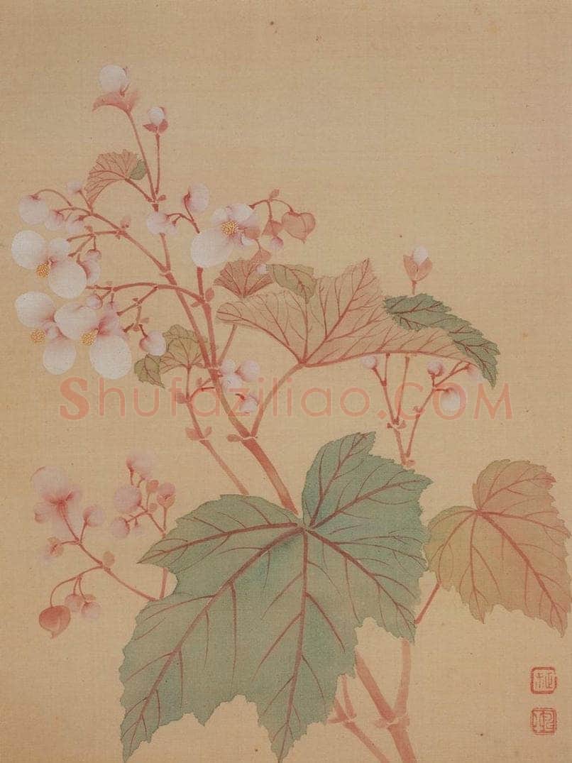 清 恽寿平 《花卉册》 书画作品