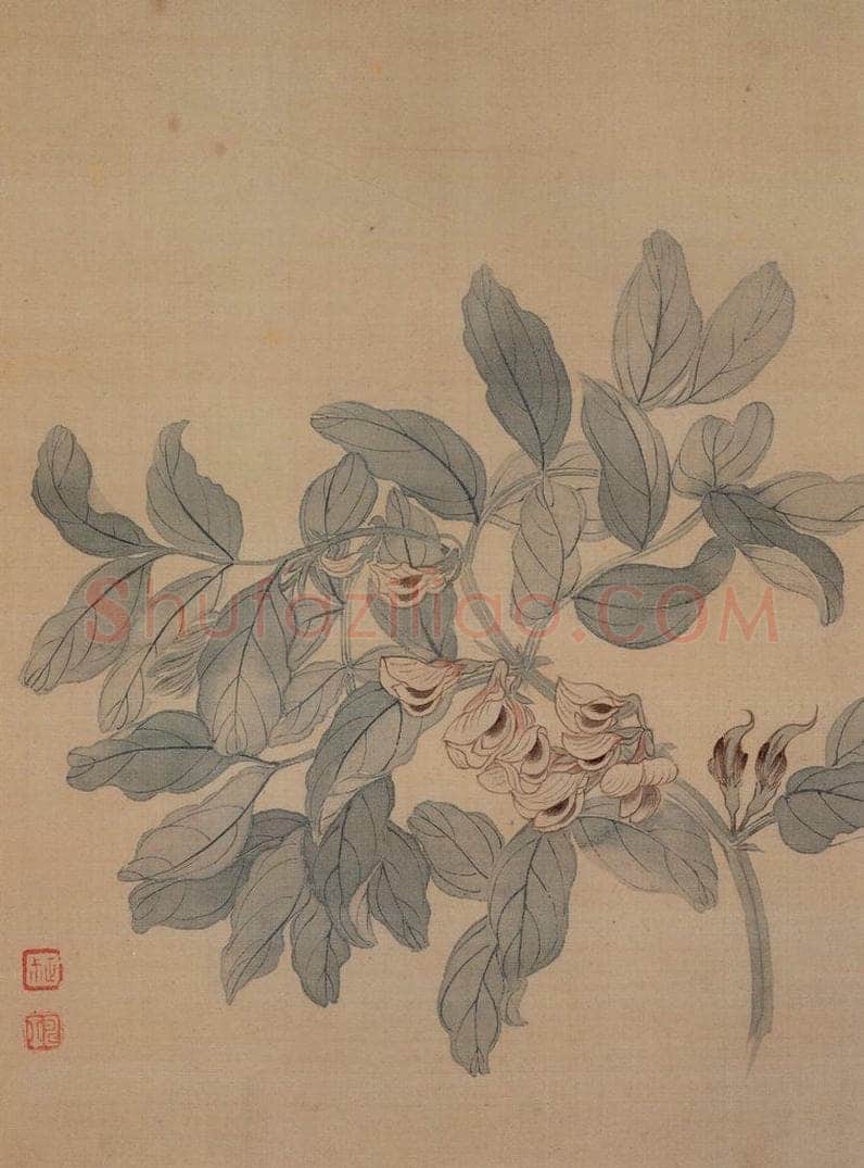 清 恽寿平 《花卉册》 书画作品