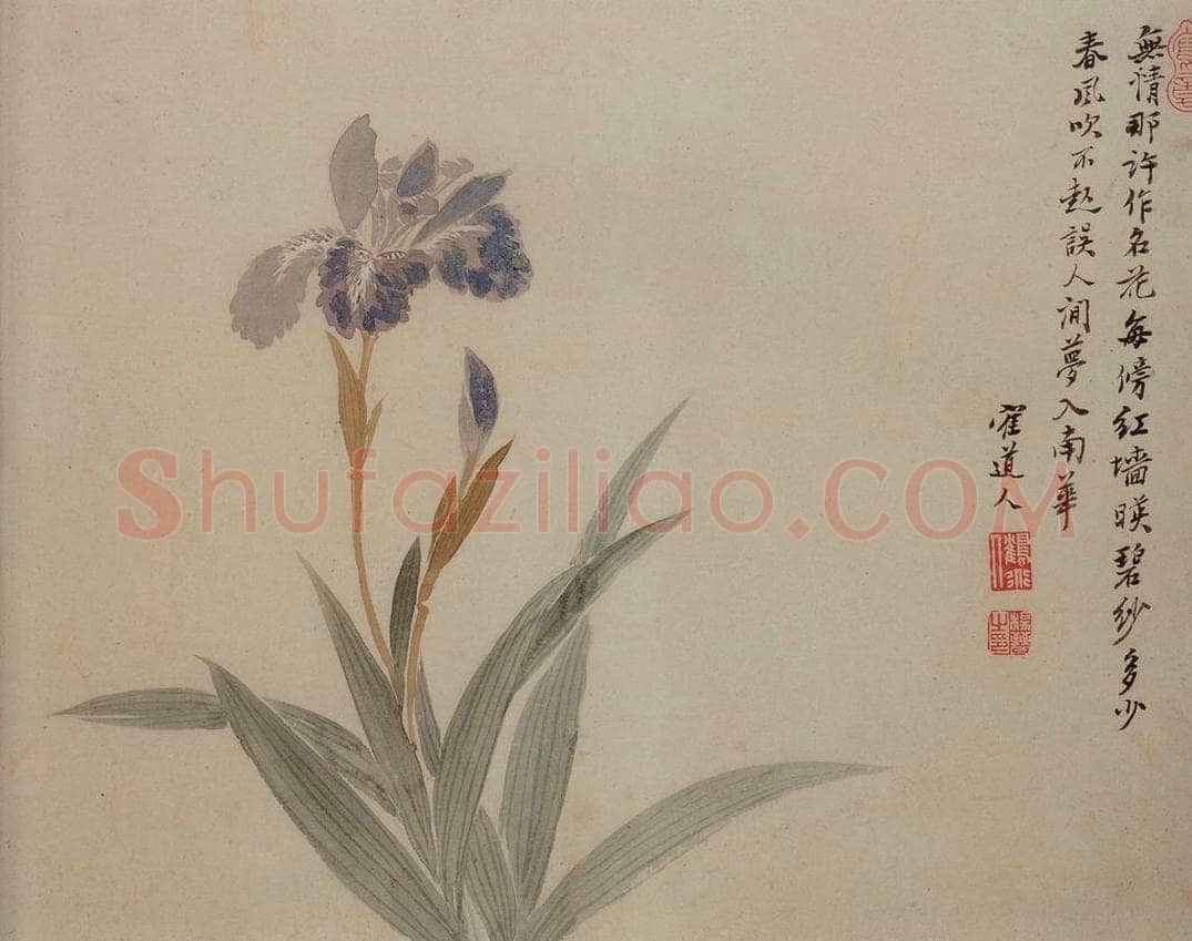 清 杨晋 《花卉》 书画作品