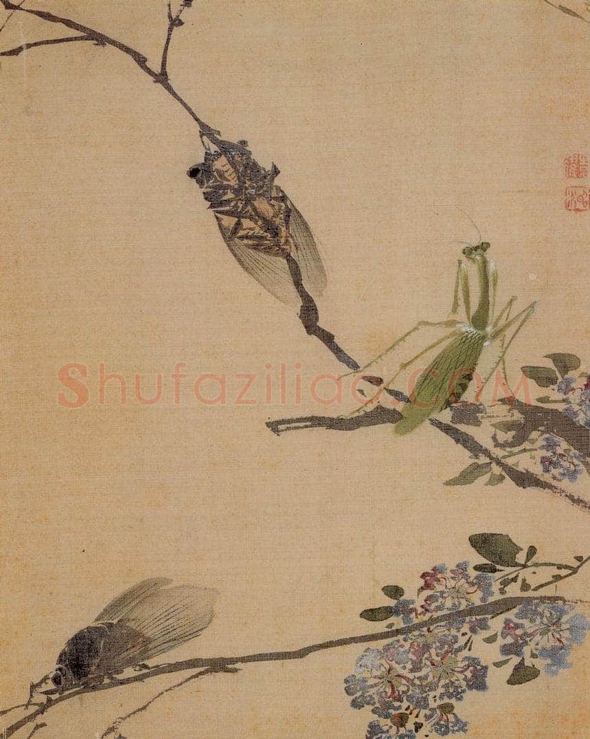 清 袁耀 《花卉册》 书画作品