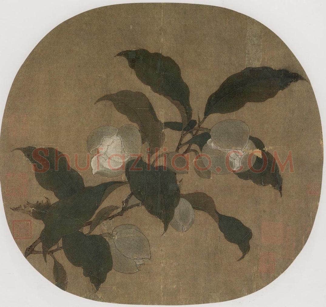 宋 无款 《夜合花图页》 书画作品