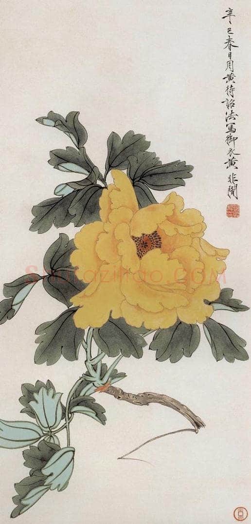 1941年 于非闇 《御衣黄牡丹》 书画作品