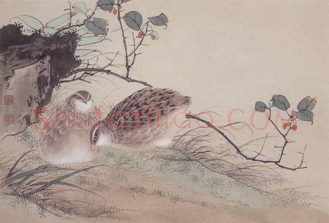  田世光 《鹌鹑》 书画作品