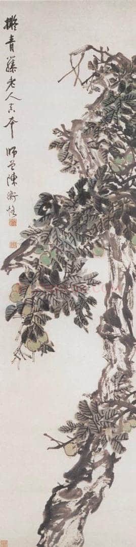 不详 陈师曾 枇杷 书画作品