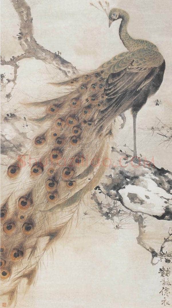 高奇峰 《孔雀》 书画作品