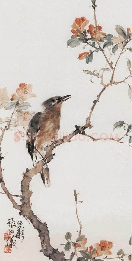 张坤仪 《花卉珍禽》 书画作品