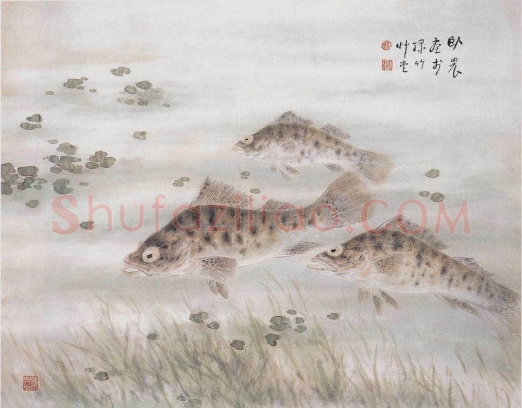 1962 苏卧农 《鳜鱼》 书画作品