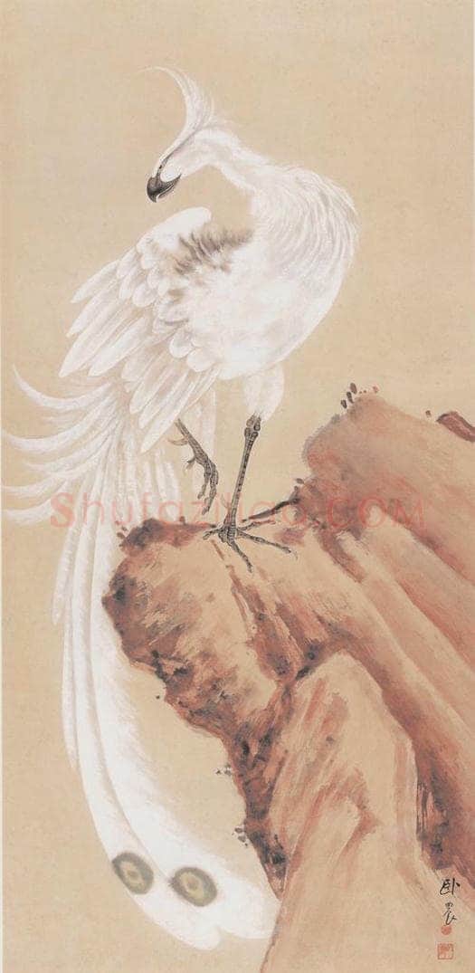 苏卧农 《白孔雀图》 书画作品