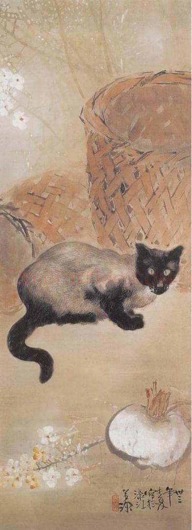 1944年 杨善深 《猫》 书画作品