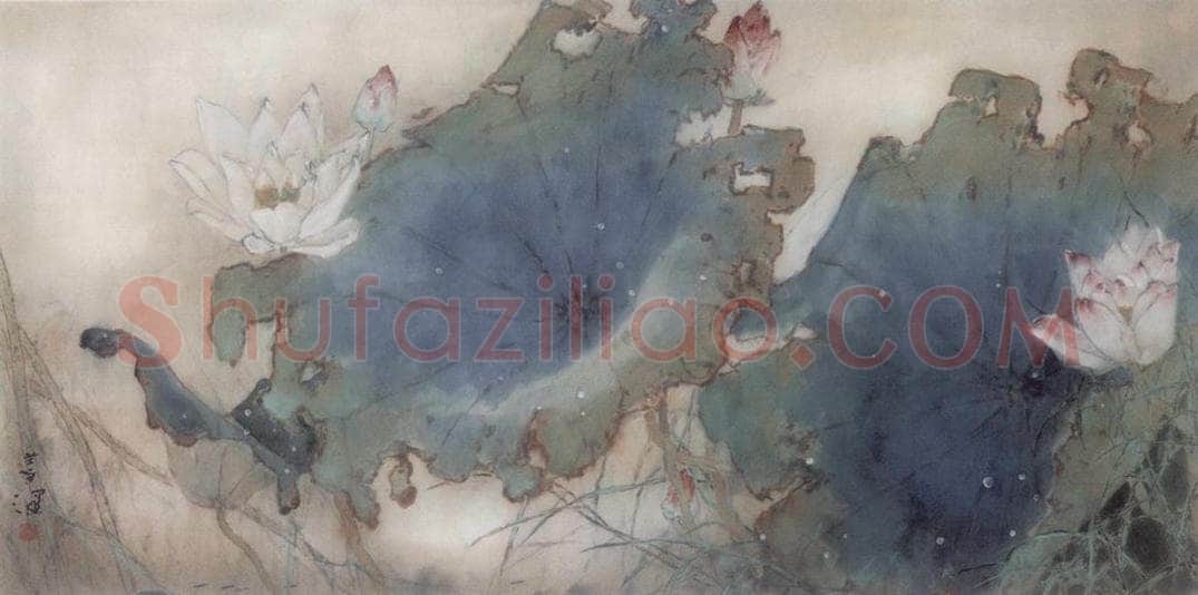  杨善深 《荷花》 书画作品