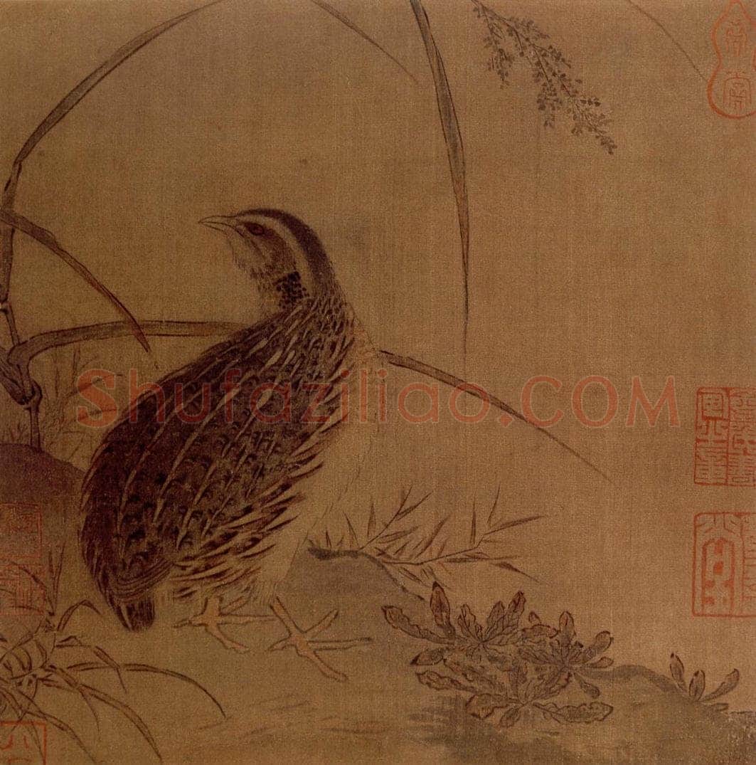 宋 伕名 鹌鹁图 书画作品