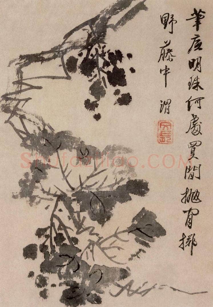  徐渭 《花卉人物图册》 书画作品