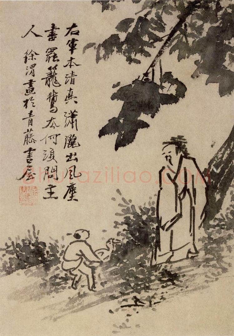  徐渭 《花卉人物图册》 书画作品