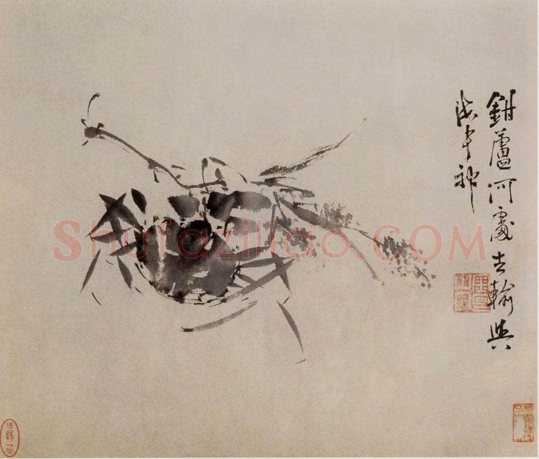 徐渭 《墨花图册》 书画作品