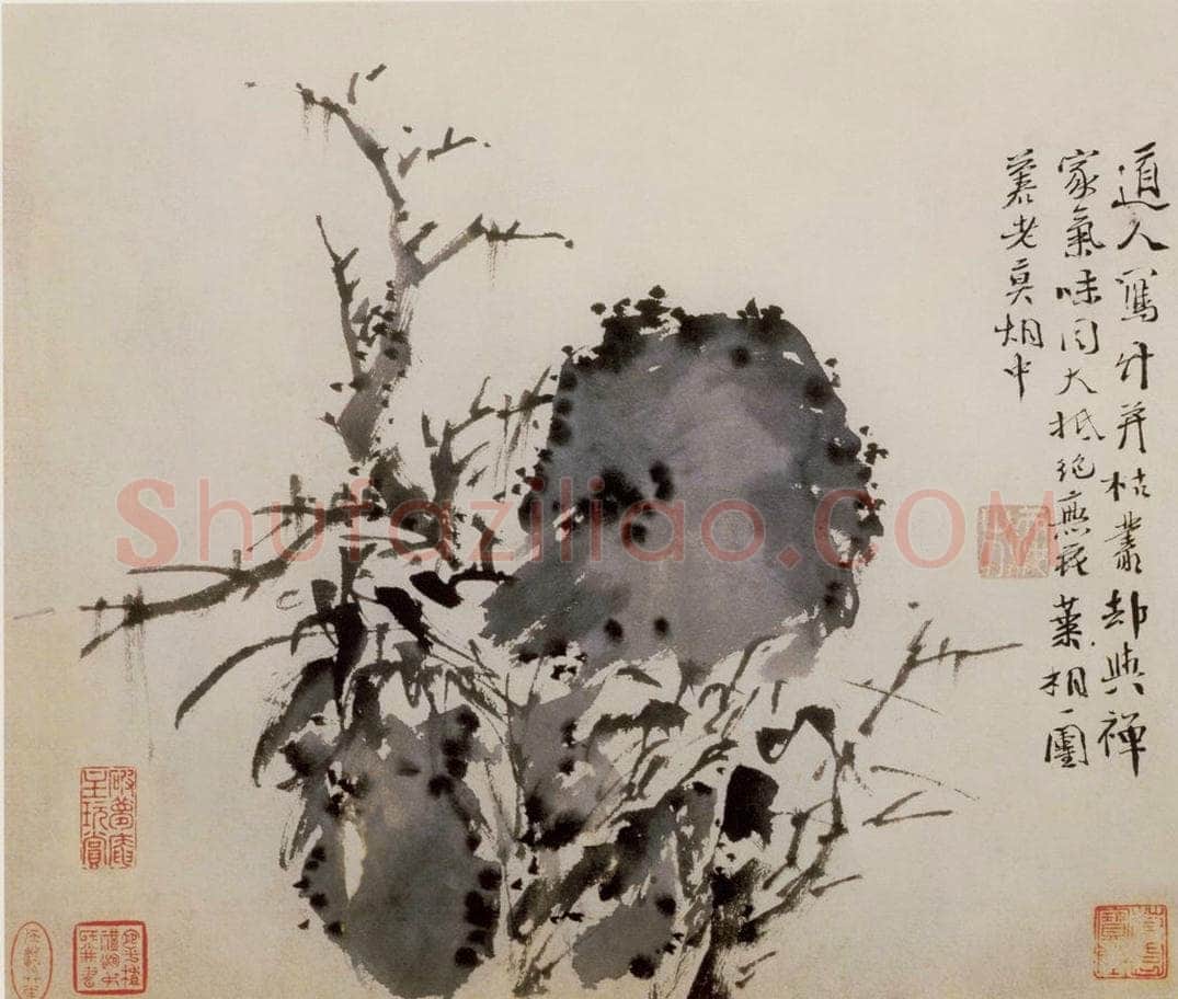 徐渭 《墨花图册》 书画作品