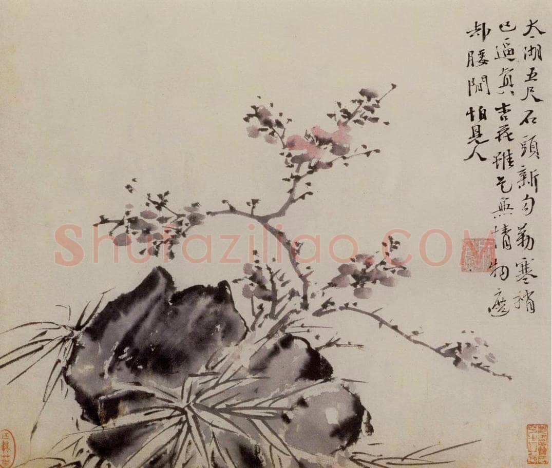  徐渭 《墨花图册》 书画作品