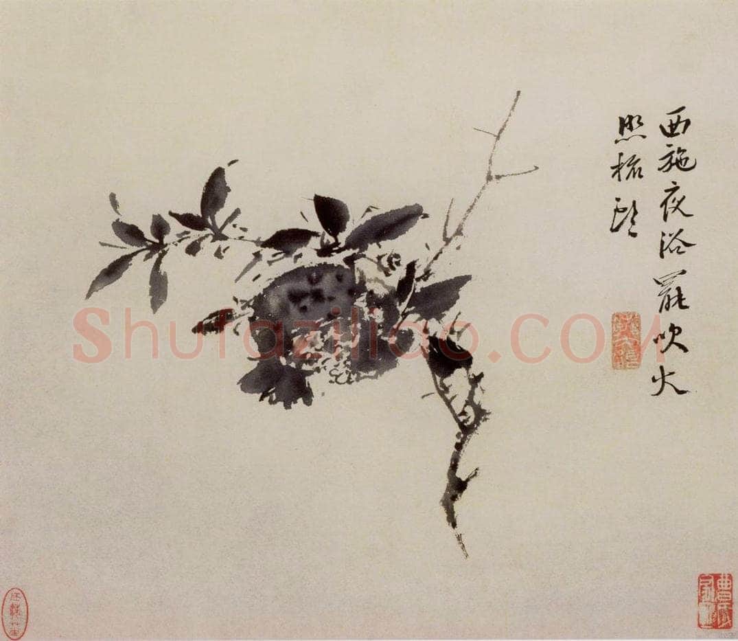 徐渭 《墨花图册》 书画作品