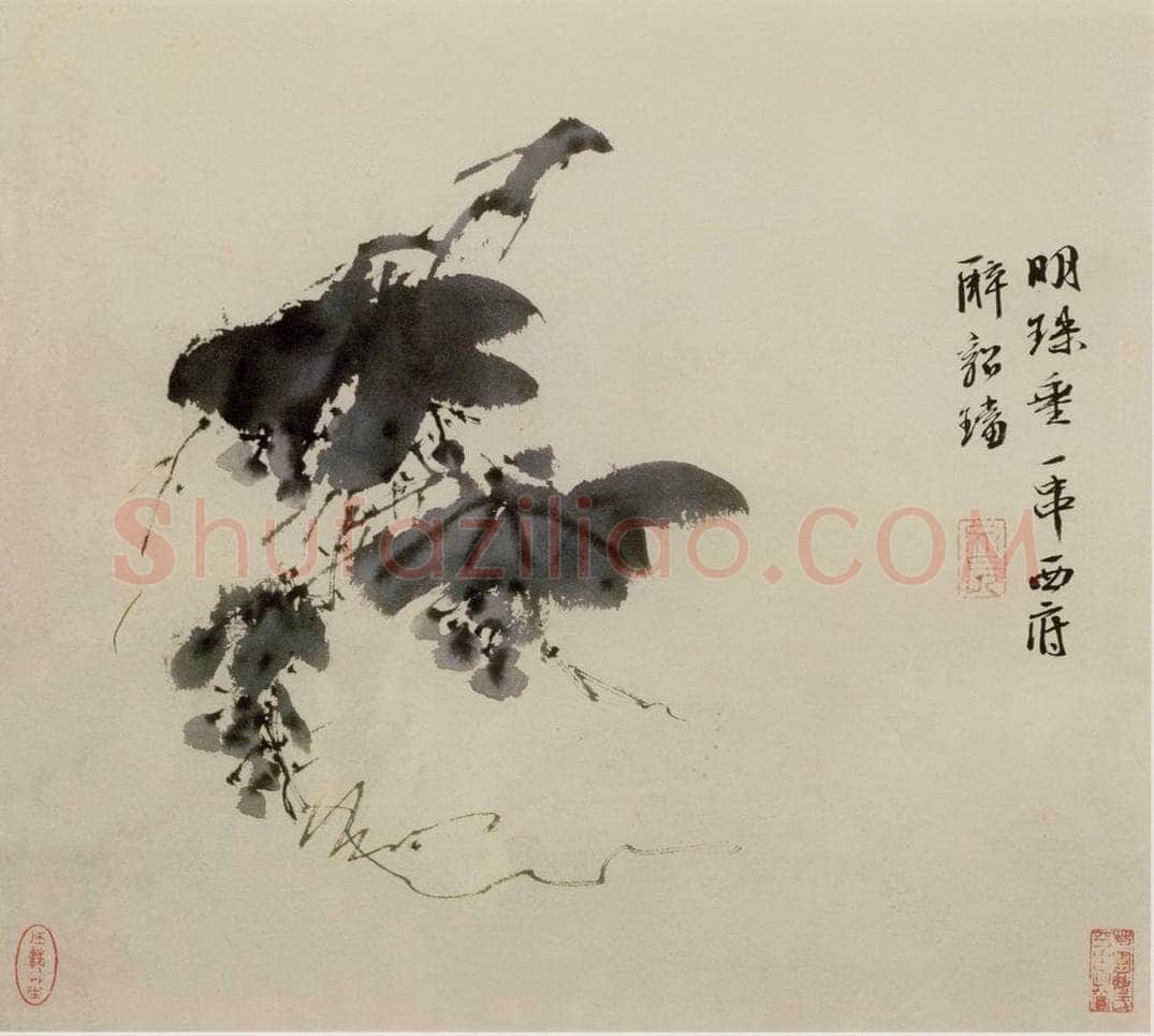 徐渭 《墨花图册》 书画作品