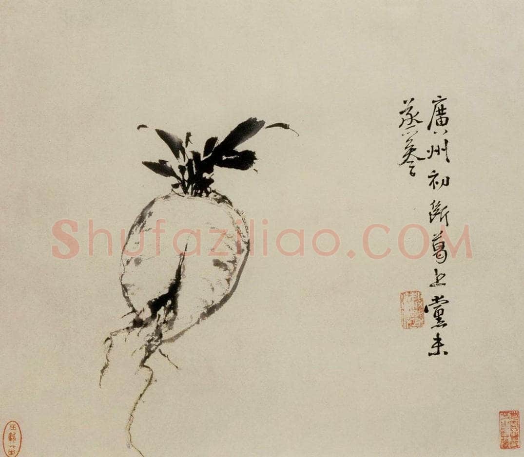  徐渭 《墨花图册》 书画作品
