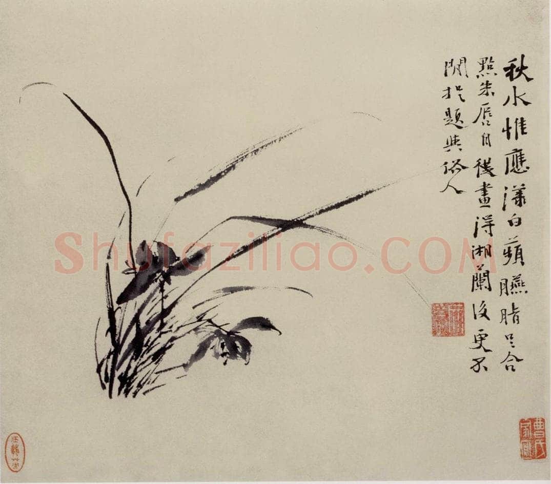  徐渭 《墨花图册》 书画作品