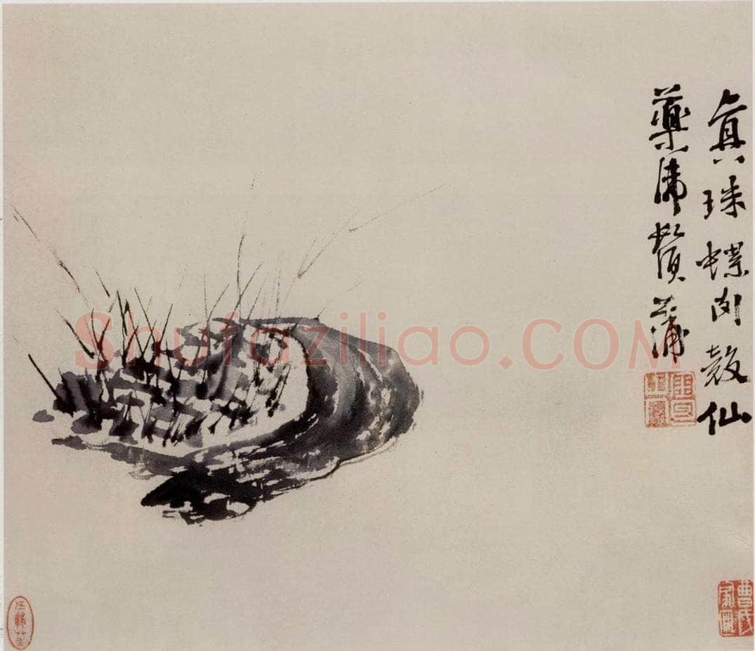  徐渭 《墨花图册》 书画作品