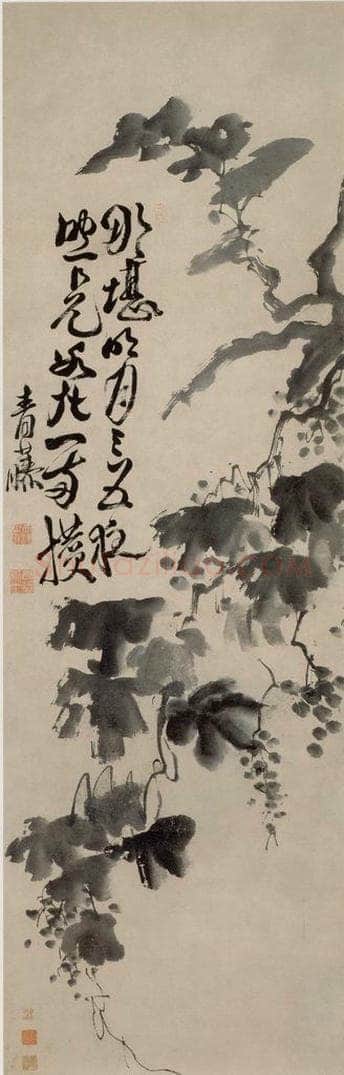  徐渭 《墨葡萄图》 书画作品
