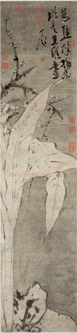  徐渭 《梅花蕉叶图》 书画作品