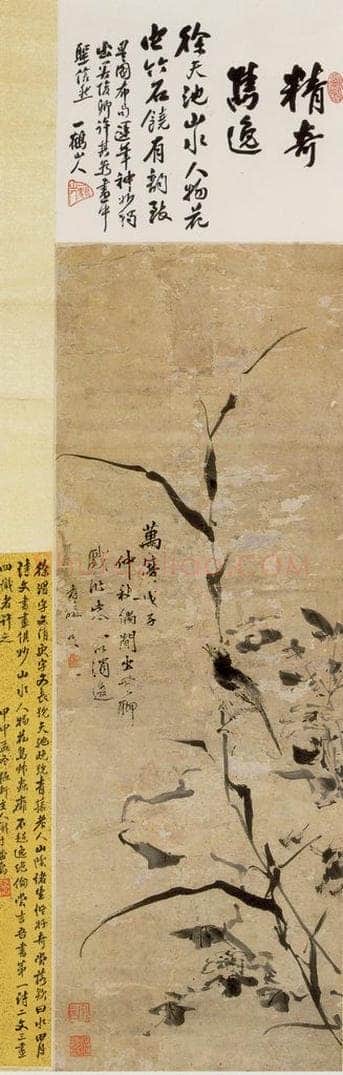  徐渭 《花鸟图》 书画作品