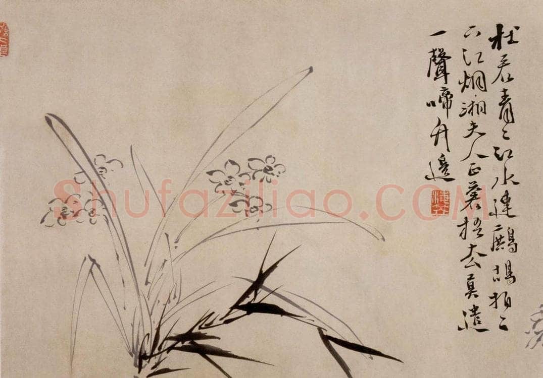  徐渭 《杂花卷》 书画作品