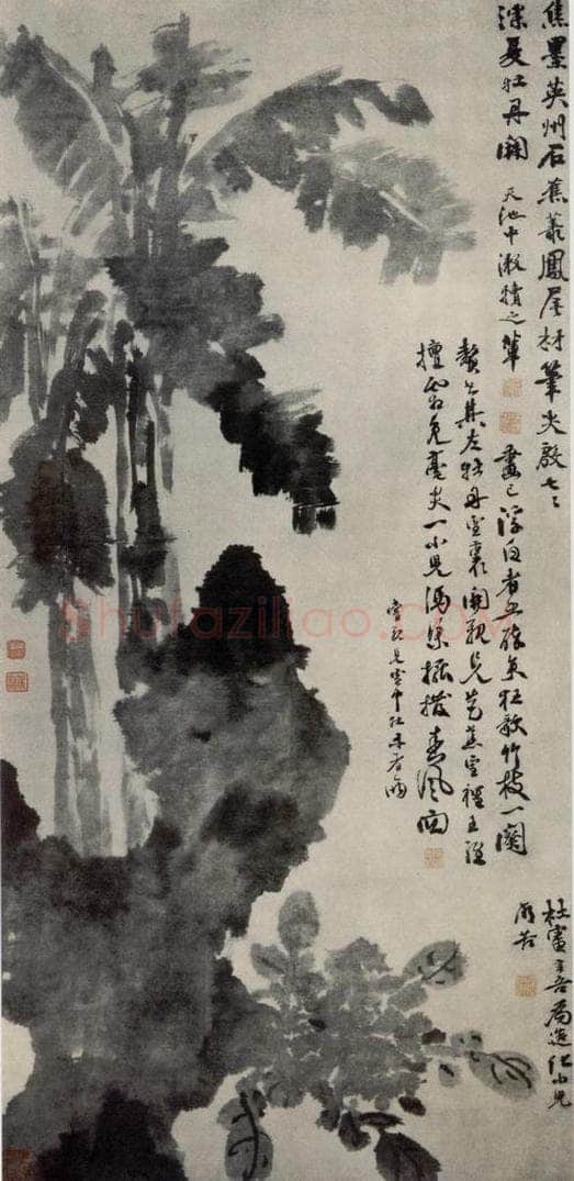  徐渭 《牡丹蕉石图》 书画作品