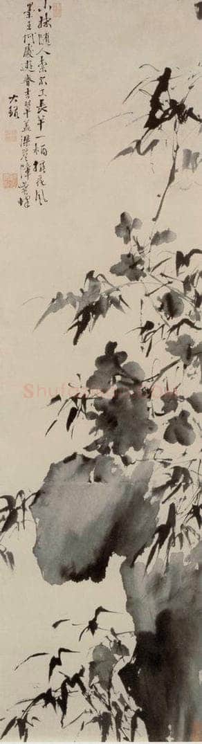  徐渭 《蕉石图》 书画作品