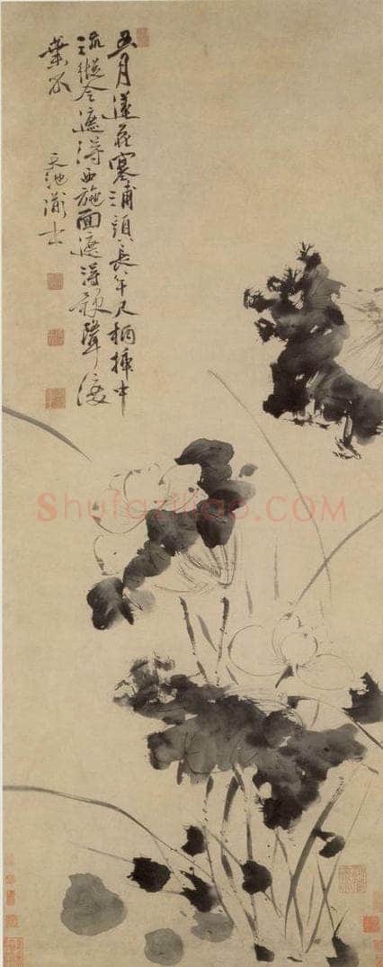  徐渭 《五月莲花图》 书画作品